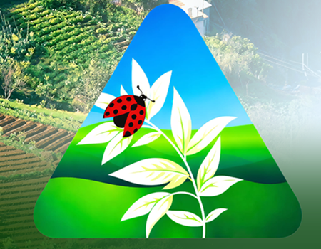 Save the date: 13º Encontro Nacional de Proteção Integrada