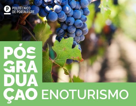 Pós-Graduação em Enoturismo (regime B-Learning): candidaturas abertas